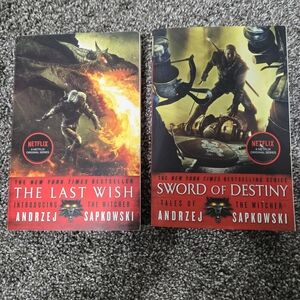 The Witcher The Last Wish And Sword Of Destiny Books